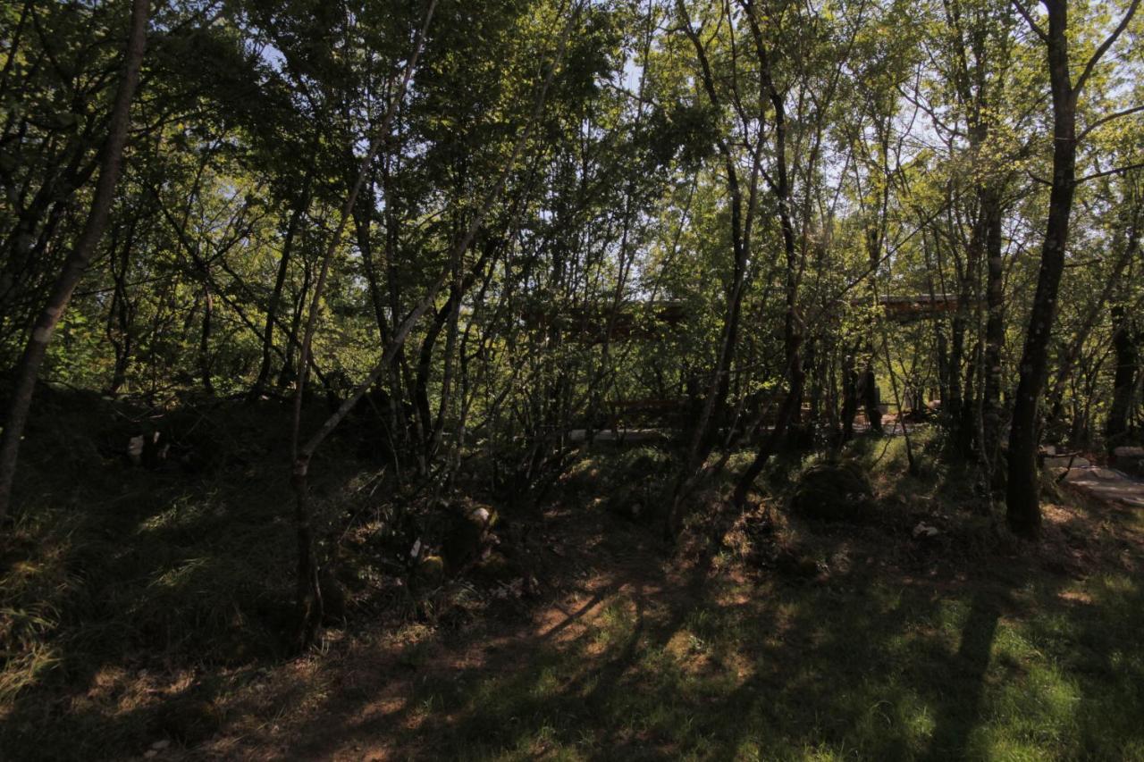 Vukova Dolina Apartments Cetinje Bagian luar foto