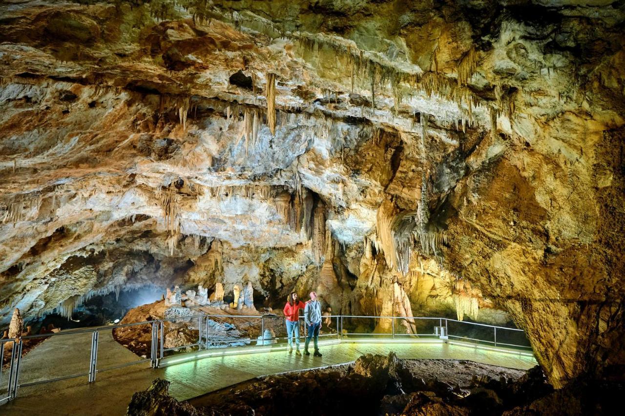 Vukova Dolina Apartments Cetinje Bagian luar foto
