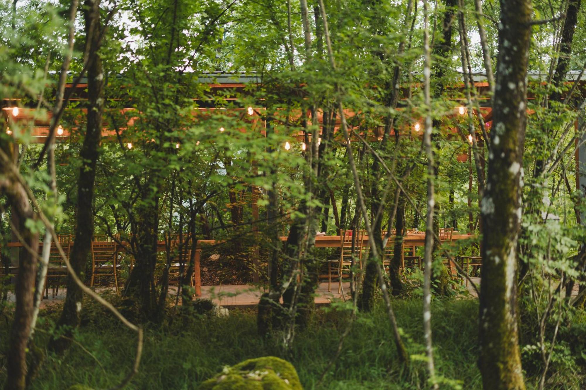 Vukova Dolina Apartments Cetinje Bagian luar foto
